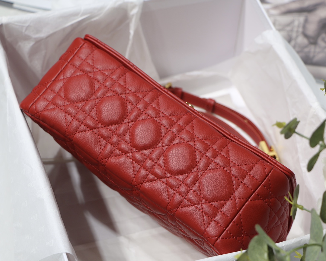 Bagsaaa D10r Medium Caro Red - 25.5 x 15.5 x 8 cm