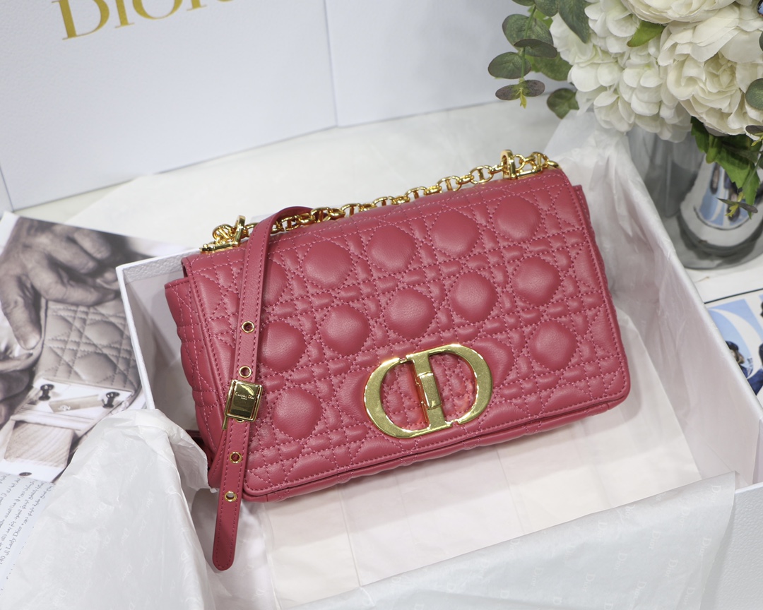 Bagsaaa D10r Medium Caro Pink - 25.5 x 15.5 x 8 cm