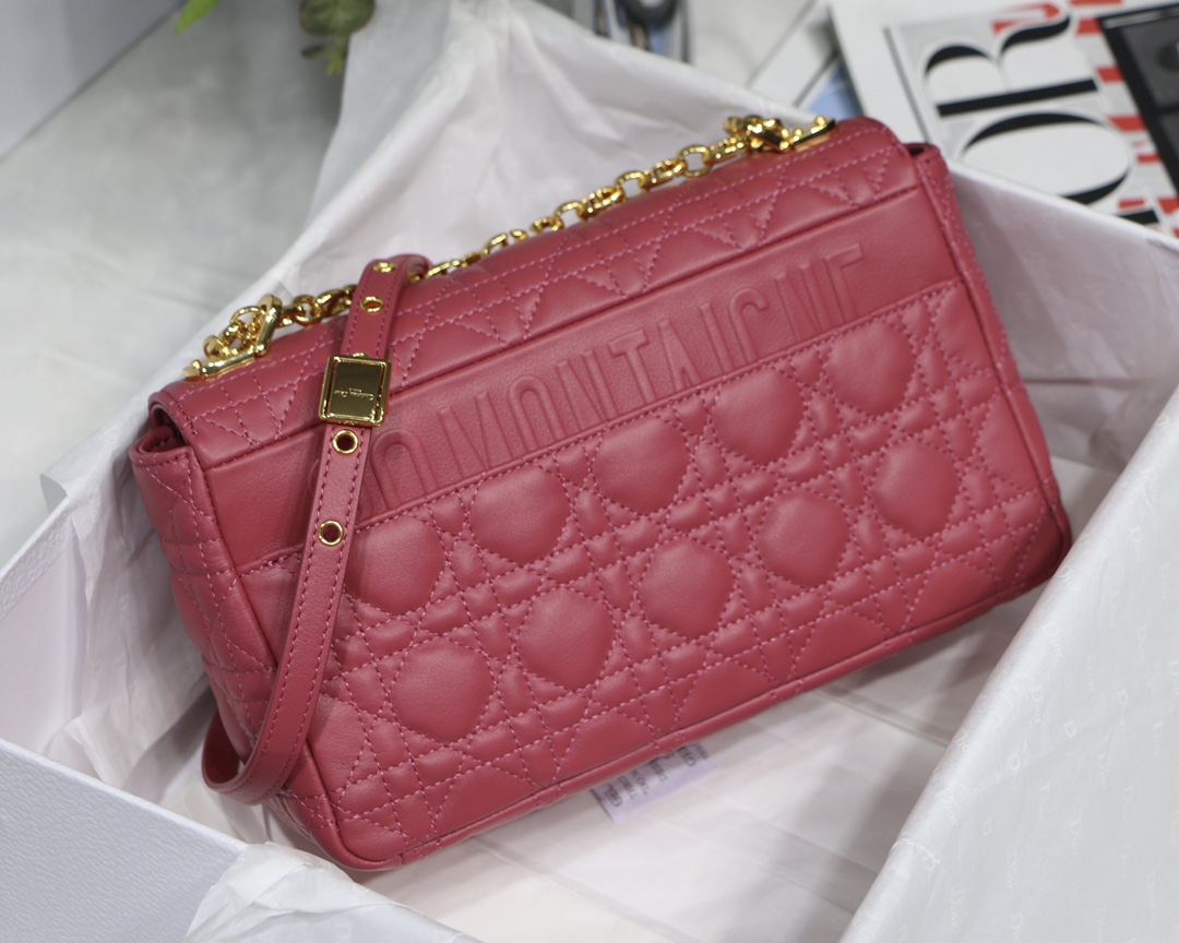 Bagsaaa D10r Medium Caro Pink - 25.5 x 15.5 x 8 cm