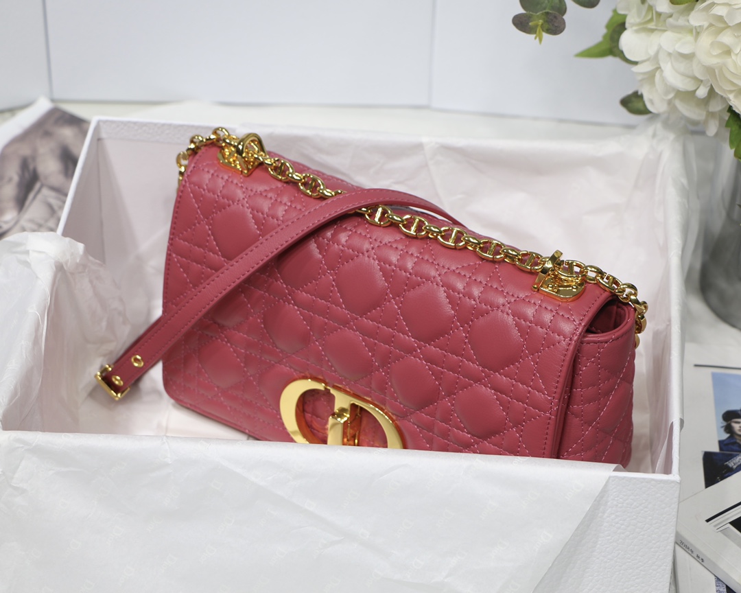Bagsaaa D10r Medium Caro Pink - 25.5 x 15.5 x 8 cm