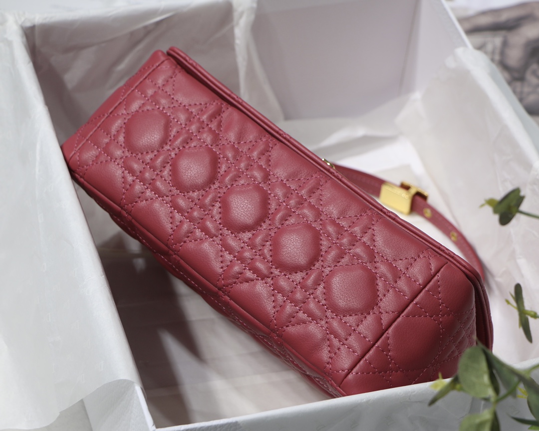 Bagsaaa D10r Medium Caro Pink - 25.5 x 15.5 x 8 cm