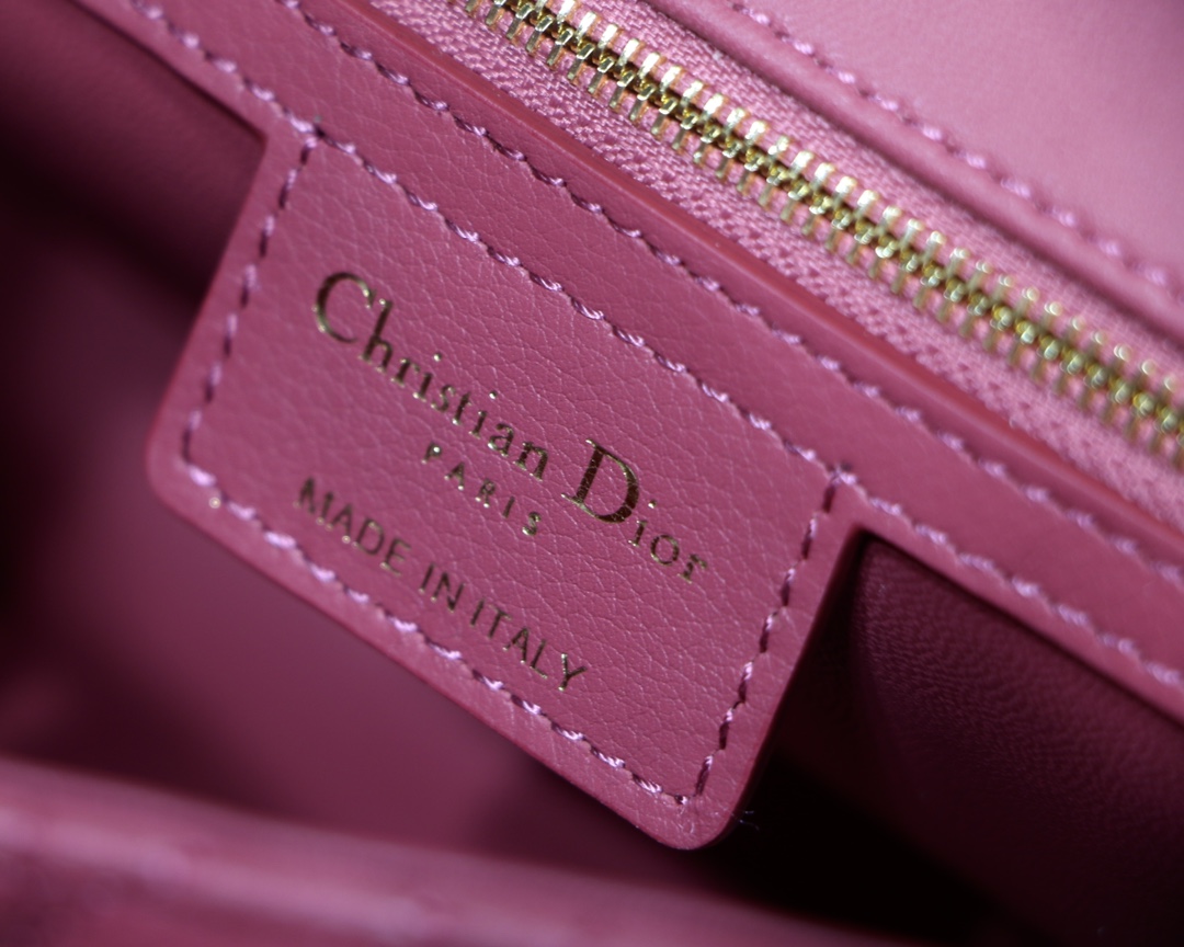 Bagsaaa D10r Medium Caro Pink - 25.5 x 15.5 x 8 cm