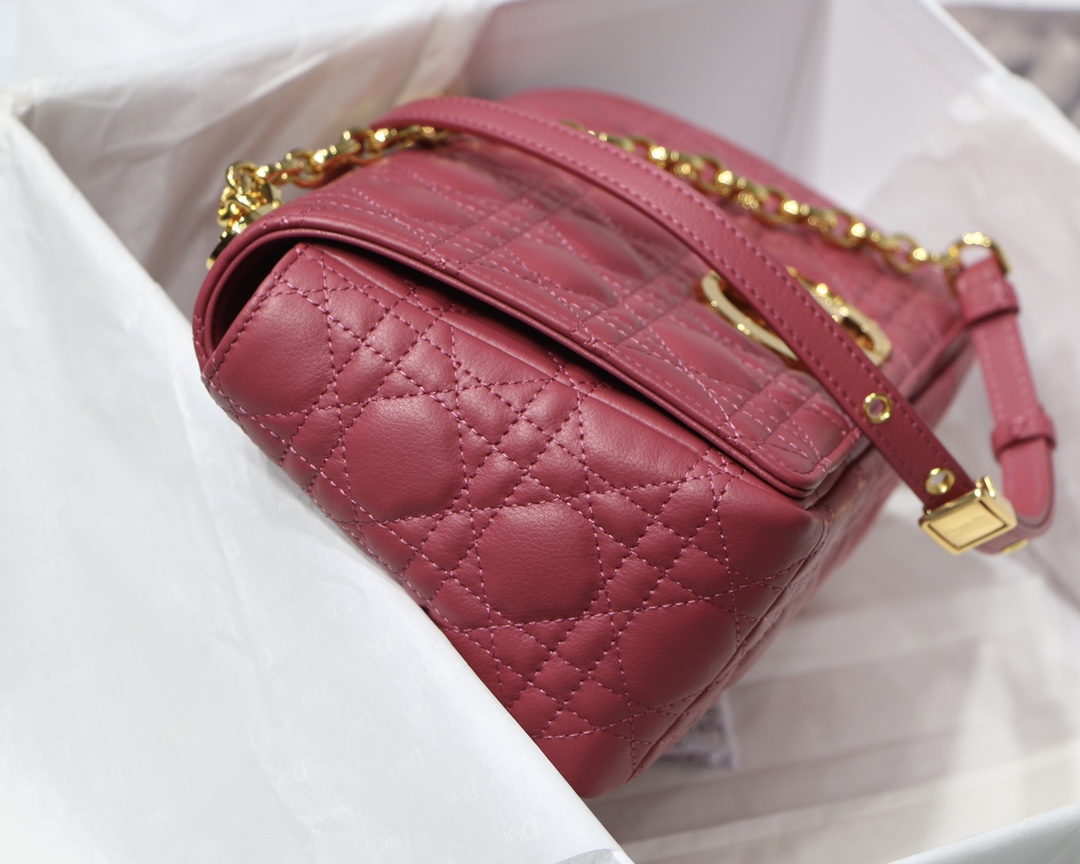 Bagsaaa D10r Medium Caro Pink - 25.5 x 15.5 x 8 cm