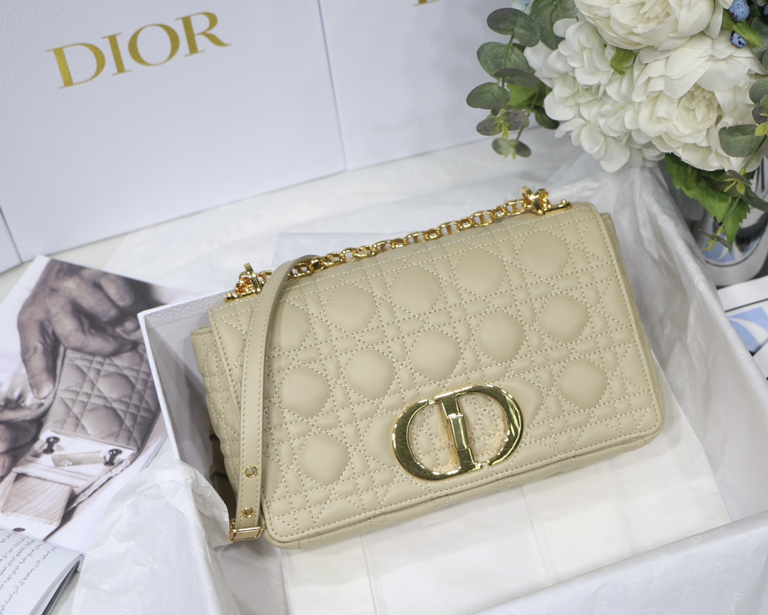Bagsaaa D10r Medium Caro Beige - 25.5 x 15.5 x 8 cm
