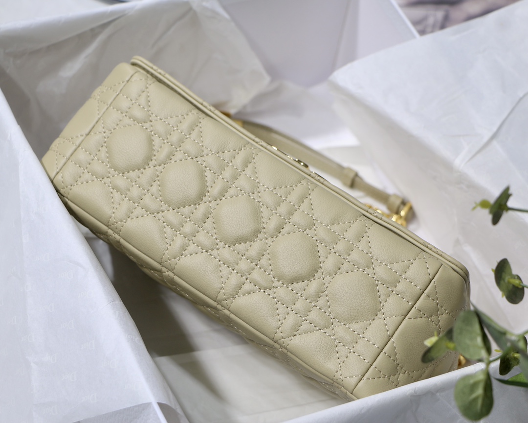 Bagsaaa D10r Medium Caro Beige - 25.5 x 15.5 x 8 cm