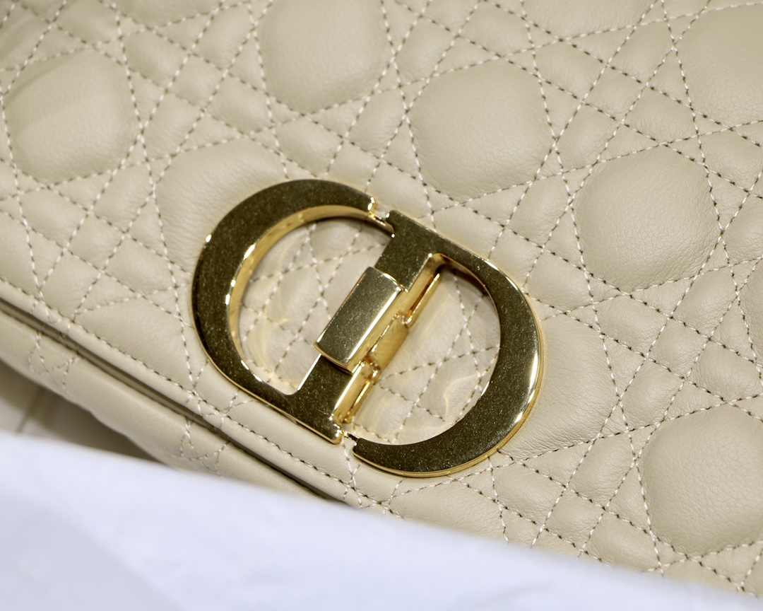 Bagsaaa D10r Medium Caro Beige - 25.5 x 15.5 x 8 cm