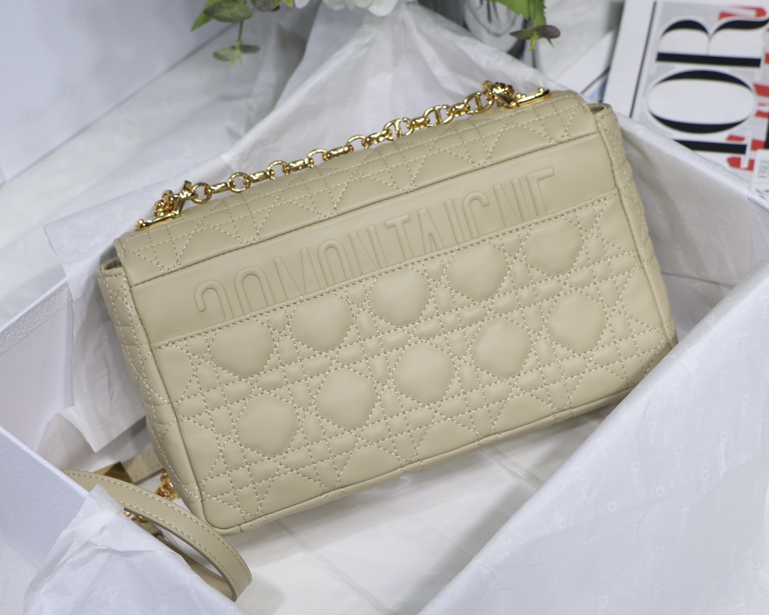 Bagsaaa D10r Medium Caro Beige - 25.5 x 15.5 x 8 cm