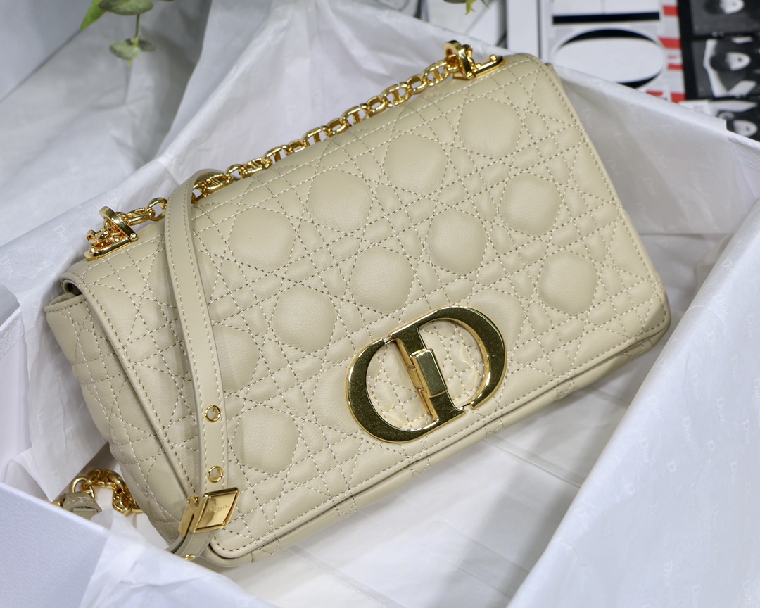 Bagsaaa D10r Medium Caro Beige - 25.5 x 15.5 x 8 cm