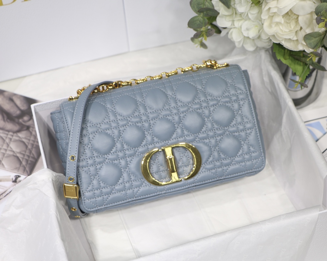 Bagsaaa D10r Medium Caro Light Blue - 25.5 x 15.5 x 8 cm