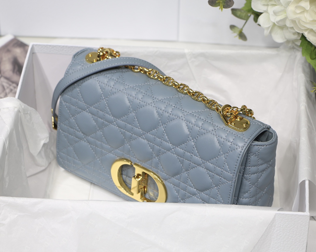 Bagsaaa D10r Medium Caro Light Blue - 25.5 x 15.5 x 8 cm