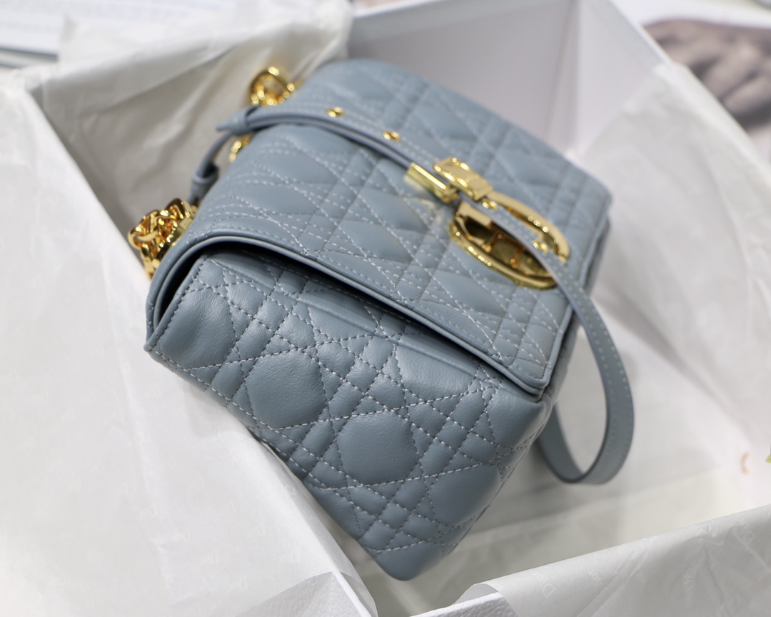 Bagsaaa D10r Medium Caro Light Blue - 25.5 x 15.5 x 8 cm