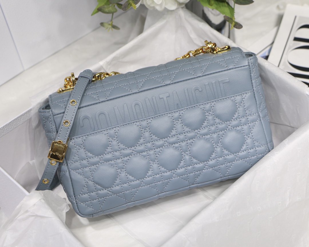 Bagsaaa D10r Medium Caro Light Blue - 25.5 x 15.5 x 8 cm
