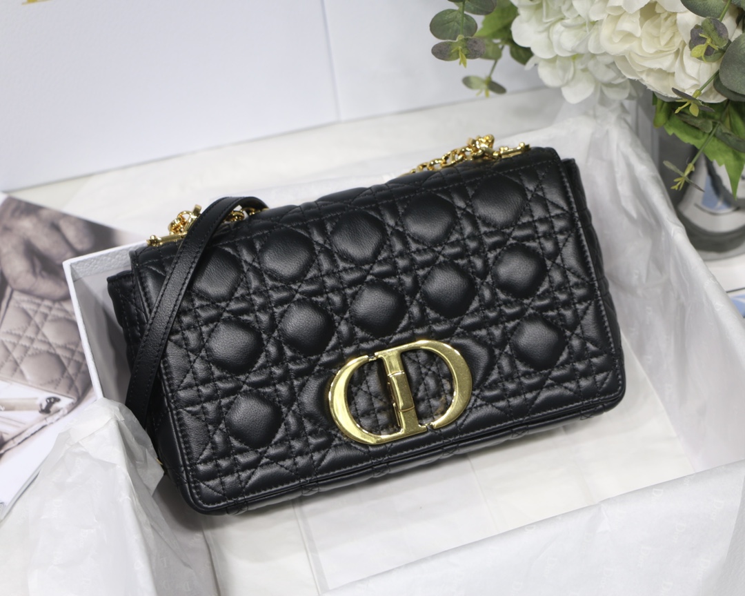 Bagsaaa D10r Medium Caro Black - 25.5 x 15.5 x 8 cm
