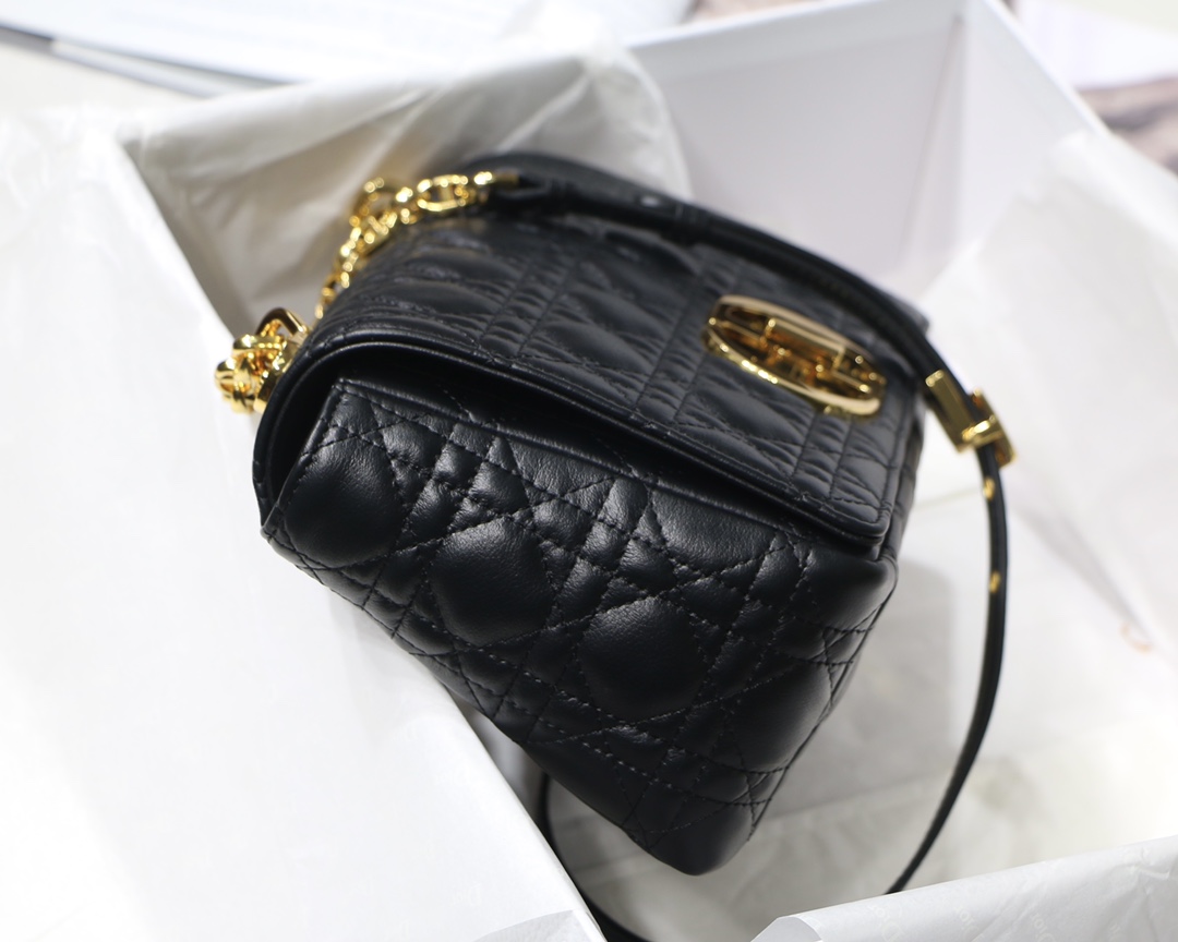 Bagsaaa D10r Medium Caro Black - 25.5 x 15.5 x 8 cm