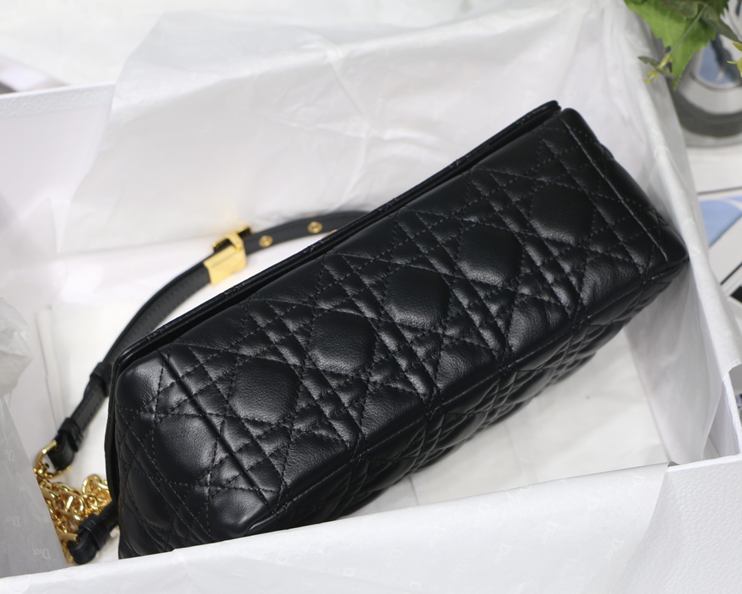 Bagsaaa D10r Medium Caro Black - 25.5 x 15.5 x 8 cm