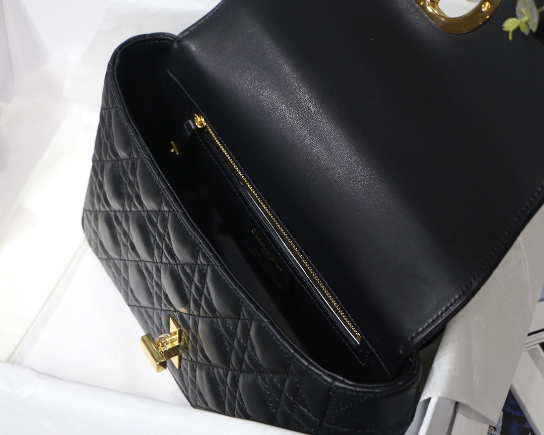 Bagsaaa D10r Medium Caro Black - 25.5 x 15.5 x 8 cm