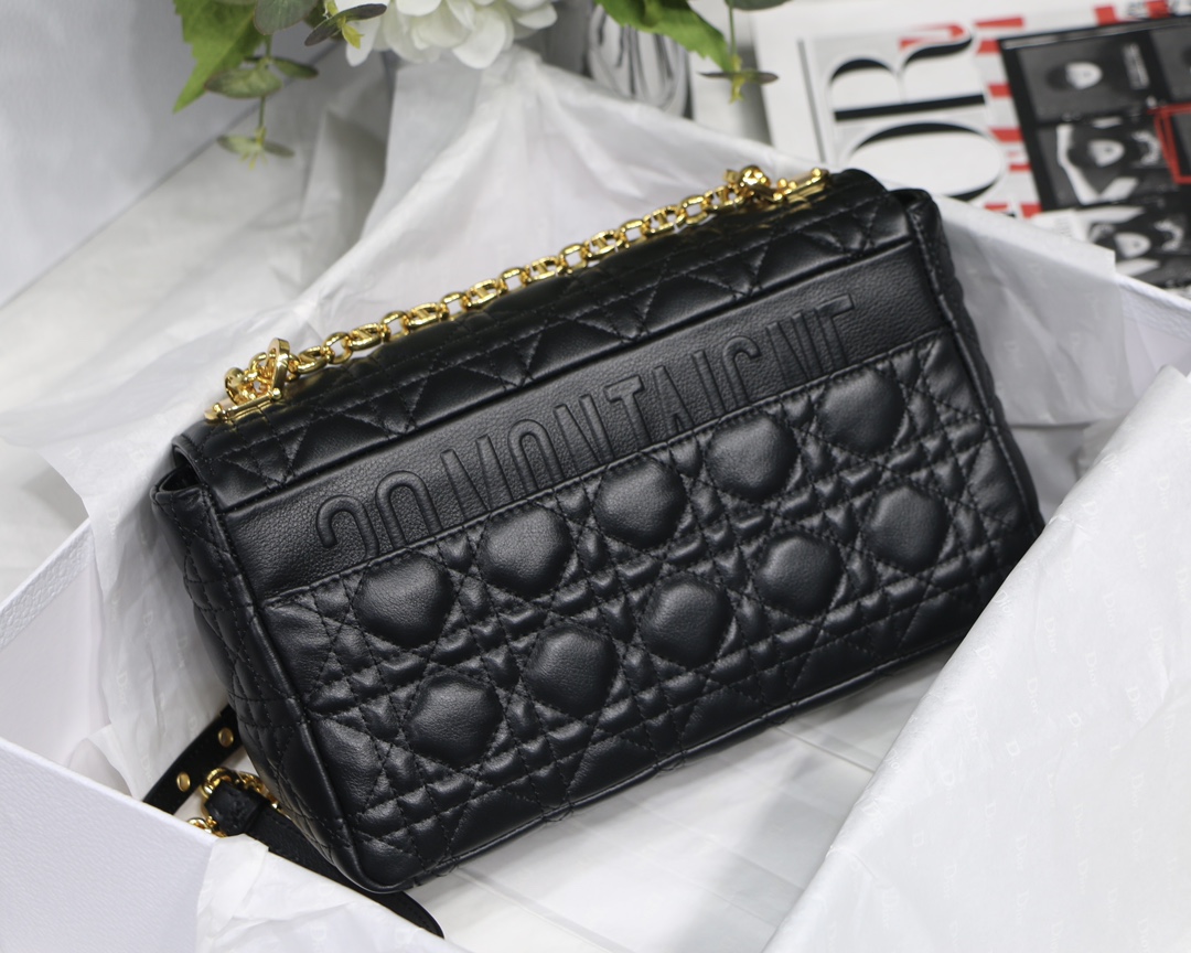 Bagsaaa D10r Medium Caro Black - 25.5 x 15.5 x 8 cm