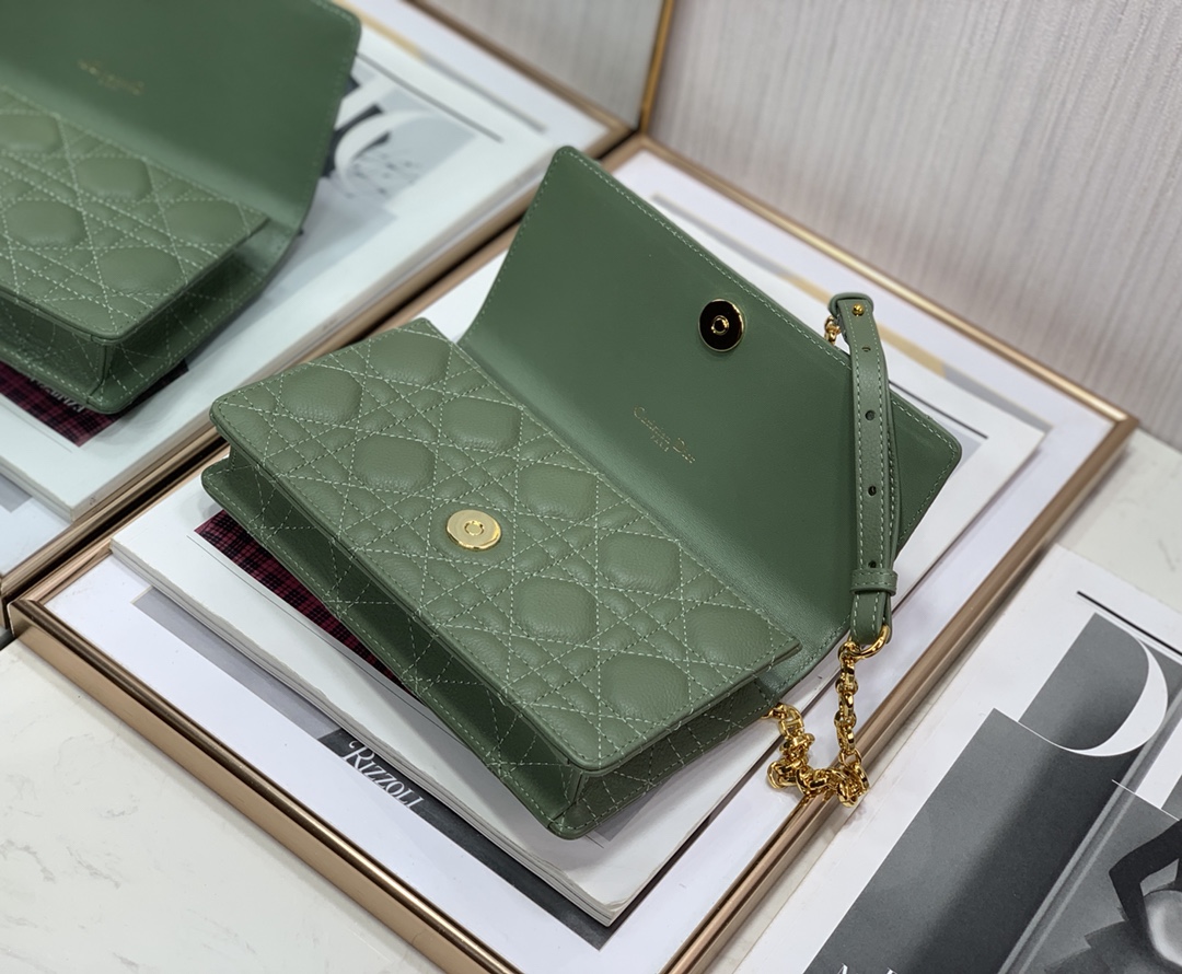 D10r Caro Bag 20cm Green