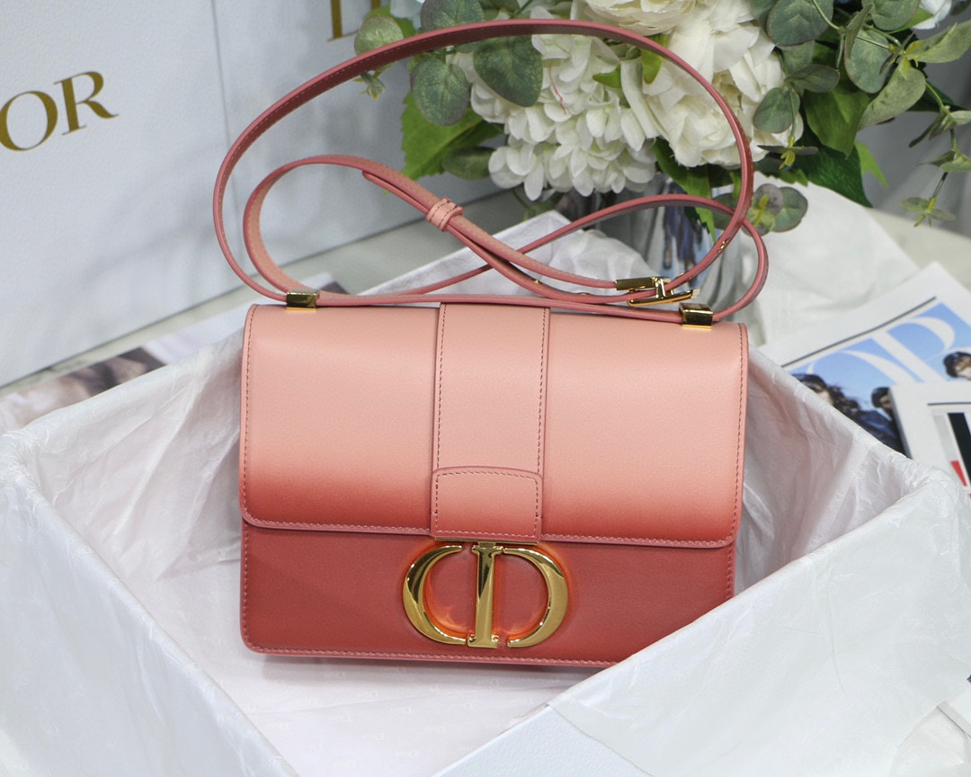 Bagsaaa D10r Montaigne Pink Ombre Bag - 24 x 17 x 8 cm