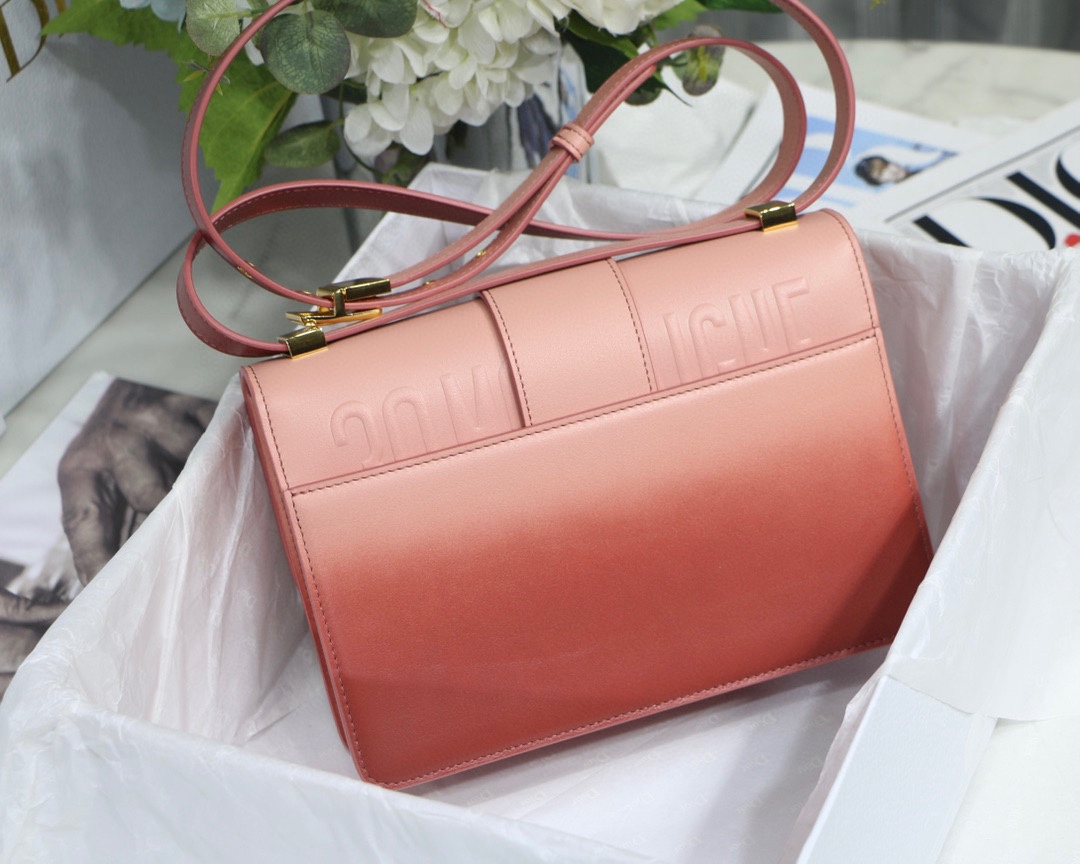 Bagsaaa D10r Montaigne Pink Ombre Bag - 24 x 17 x 8 cm