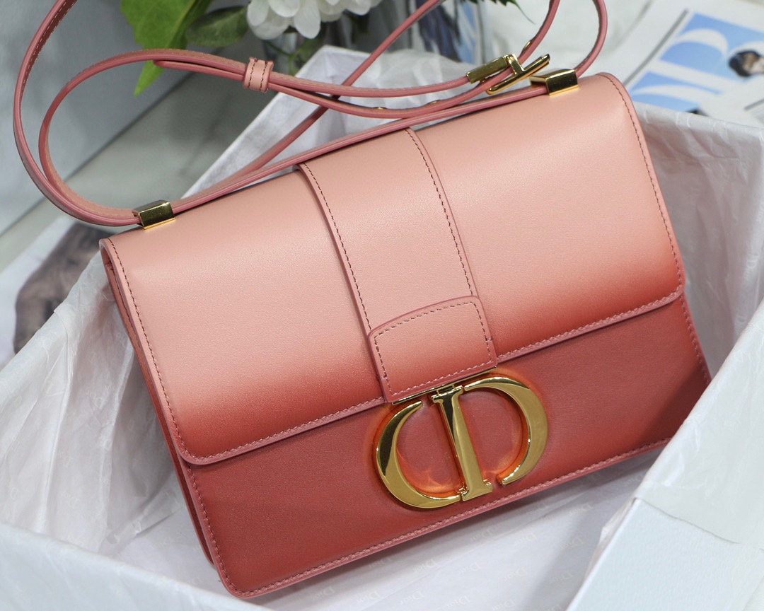 Bagsaaa D10r Montaigne Pink Ombre Bag - 24 x 17 x 8 cm