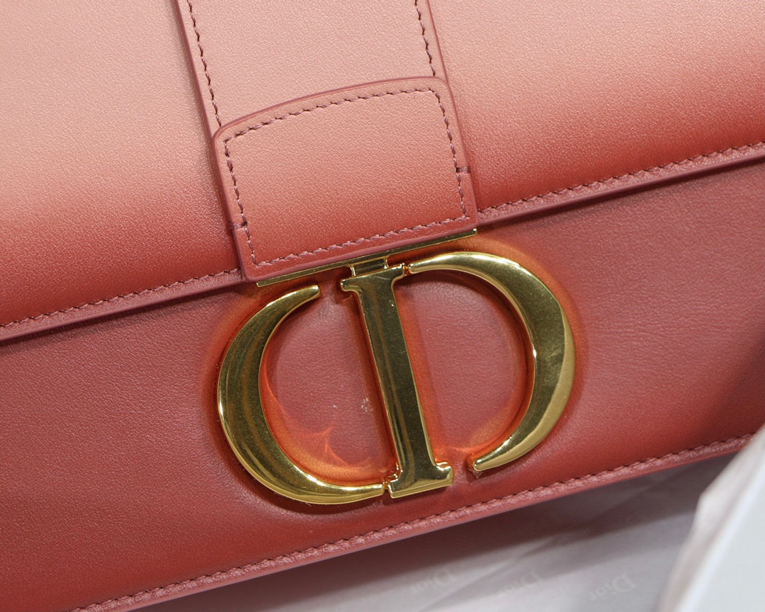 Bagsaaa D10r Montaigne Pink Ombre Bag - 24 x 17 x 8 cm