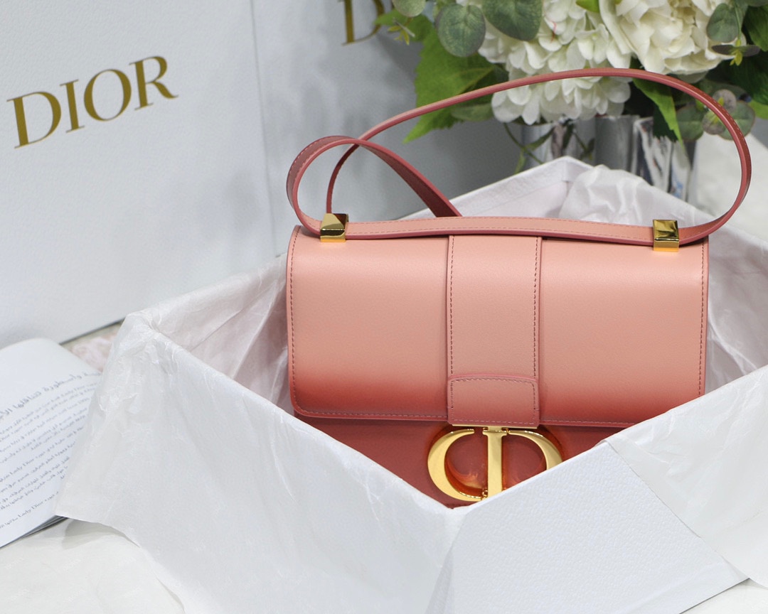 Bagsaaa D10r Montaigne Pink Ombre Bag - 24 x 17 x 8 cm