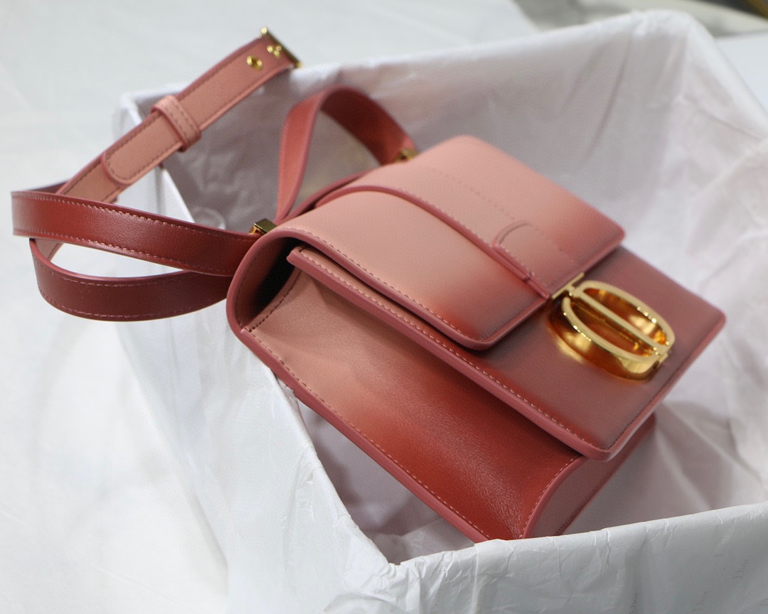Bagsaaa D10r Montaigne Pink Ombre Bag - 24 x 17 x 8 cm