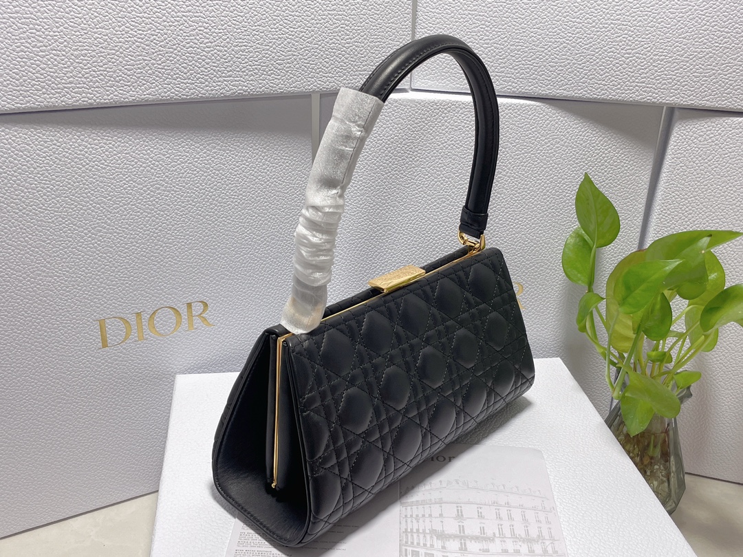 Bagsaaa D10r Caro Top Handle Black - 26x14.5x9cm