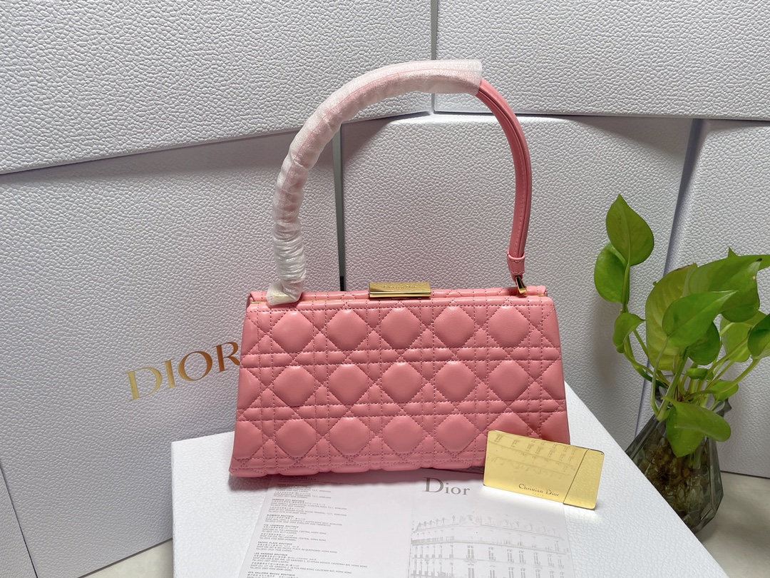 Bagsaaa D10r Caro Top Handle Pink - 26x14.5x9cm