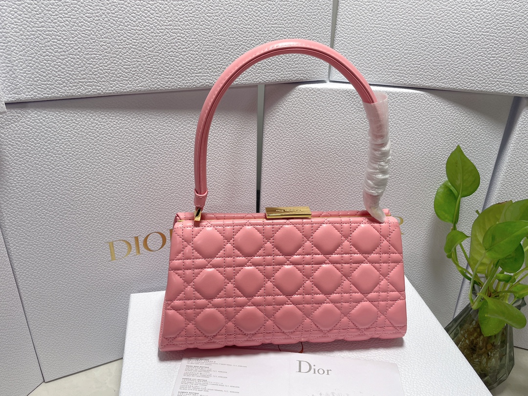 Bagsaaa D10r Caro Top Handle Pink - 26x14.5x9cm
