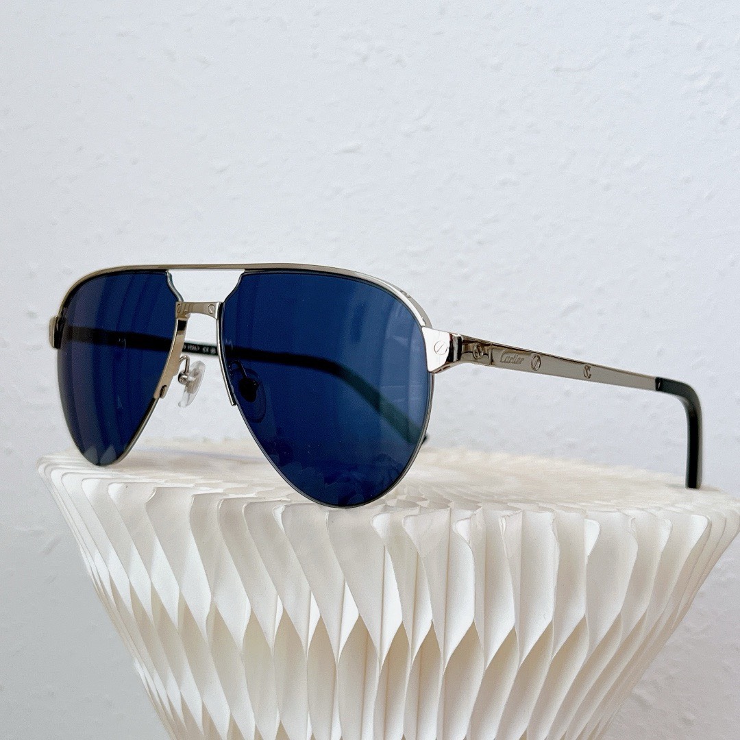 Bagsaaa Ca*t1er Sunglasses