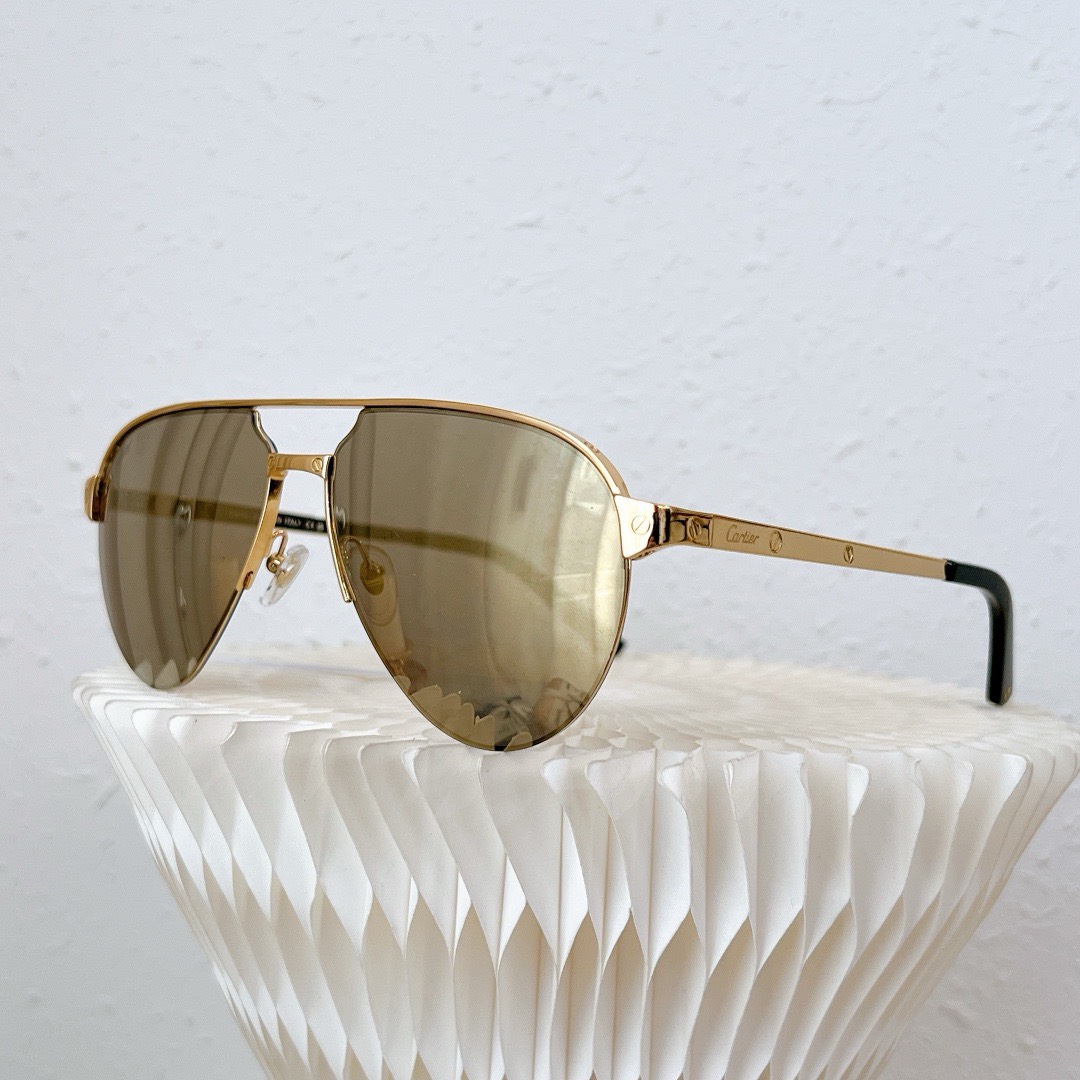 Bagsaaa Ca*t1er Sunglasses