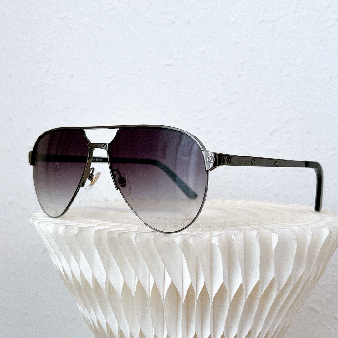 Bagsaaa Ca*t1er Sunglasses