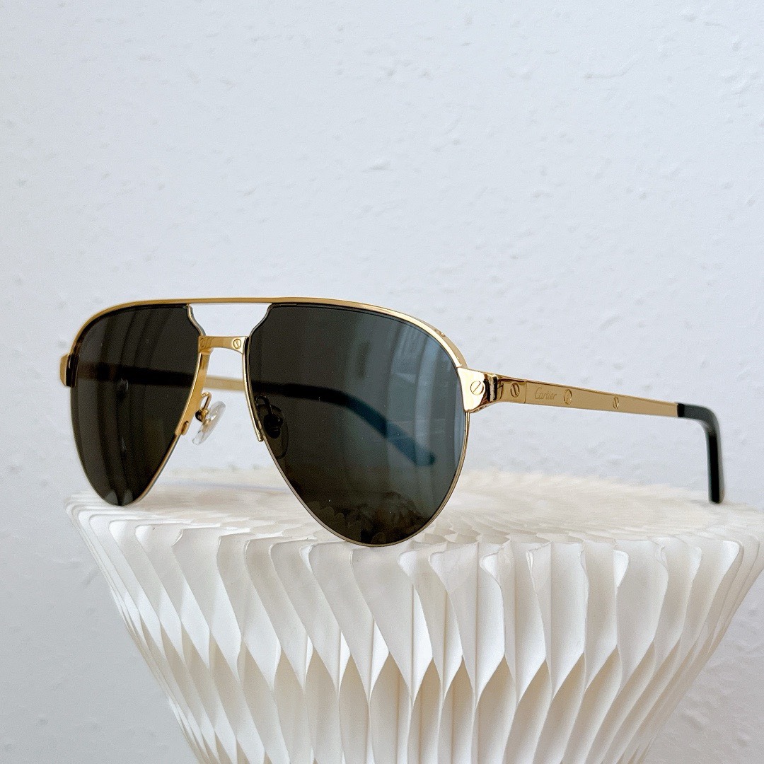 Bagsaaa Ca*t1er Sunglasses