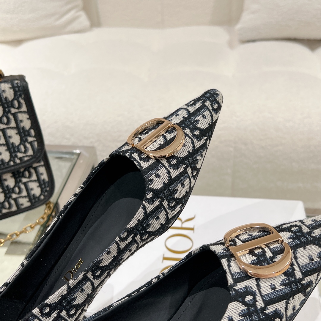 Bagsaaa D10r Oblique Flat Shoes Blue