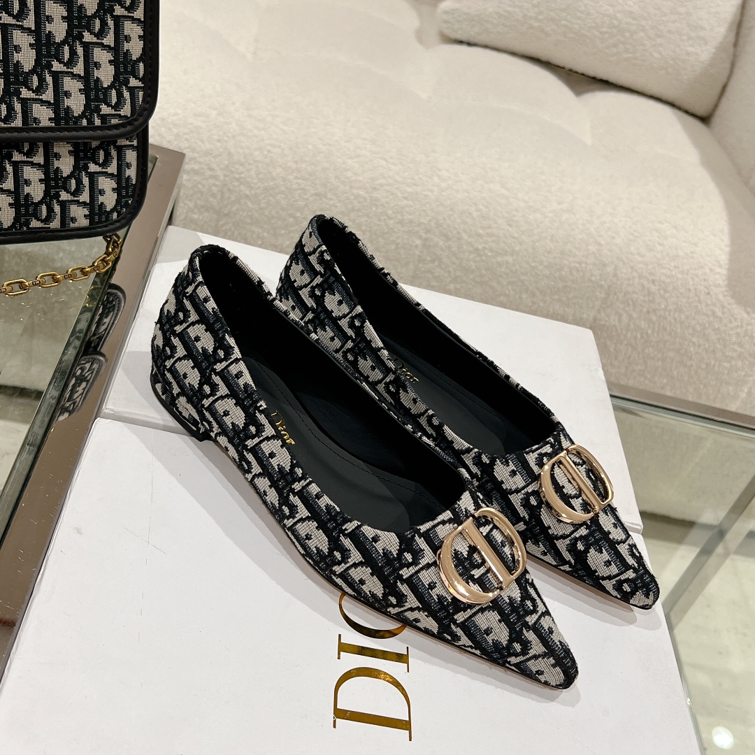 Bagsaaa D10r Oblique Flat Shoes Blue