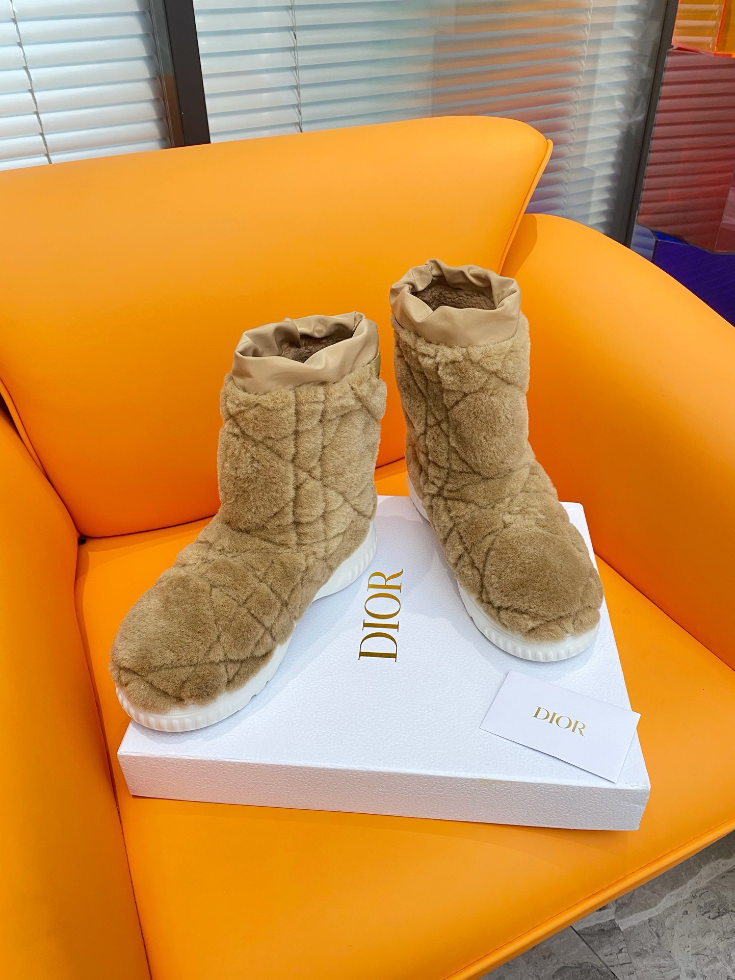 Bagsaaa D10r Frost Ankle Brown Boots