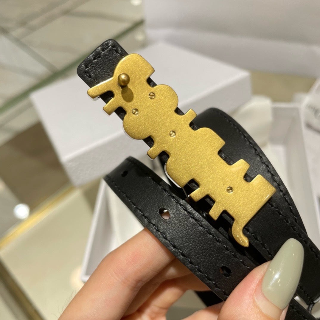 Bagsaaa D10r Black Belt 1.5cm