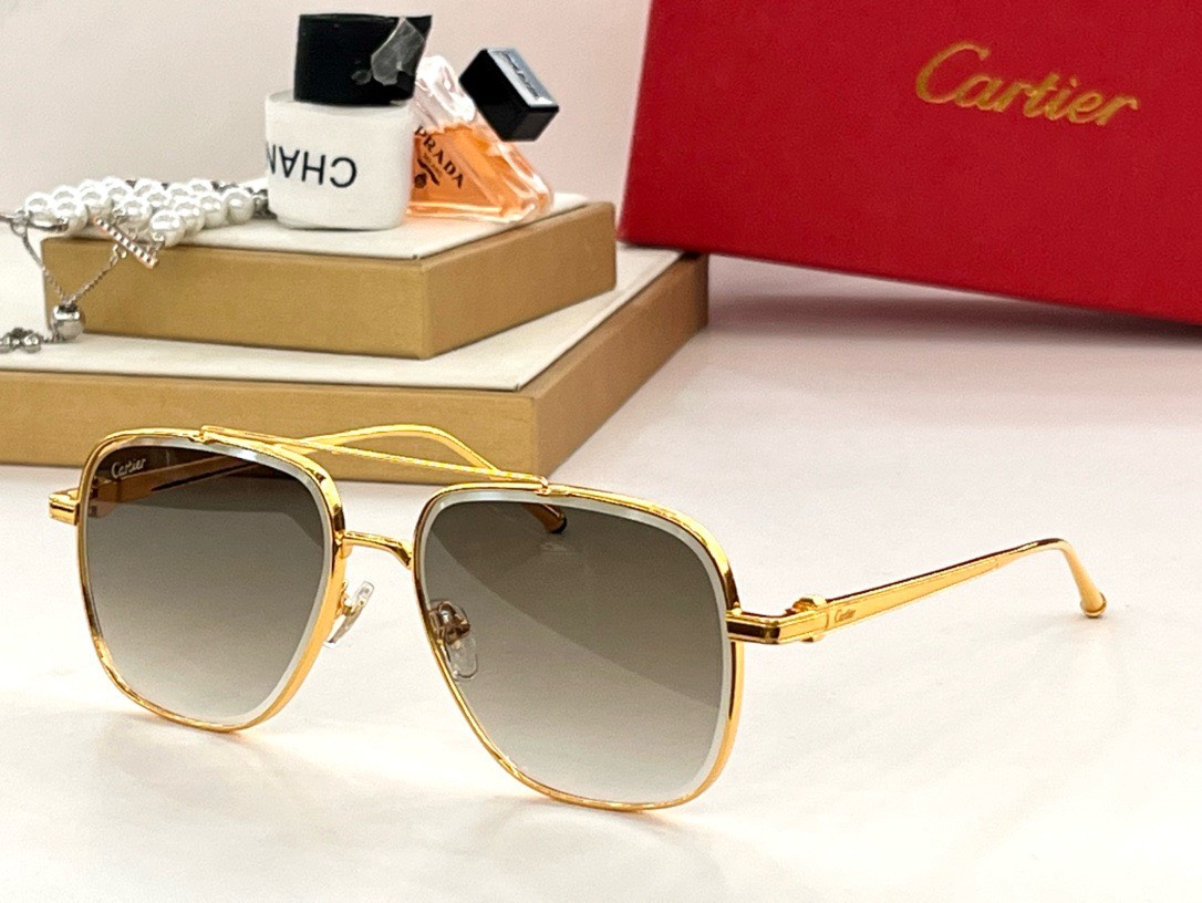 Bagsaaa Ca*t1er Sunglasses - 6 styles
