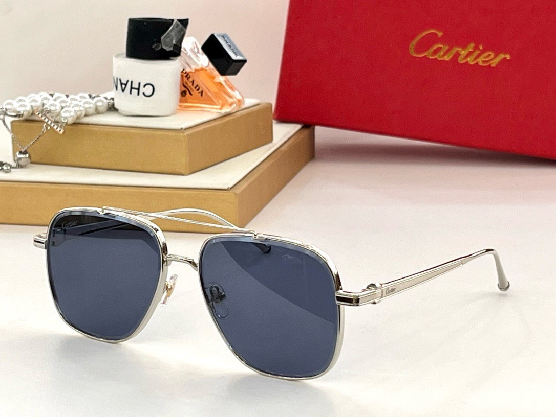 Bagsaaa Ca*t1er Sunglasses - 6 styles