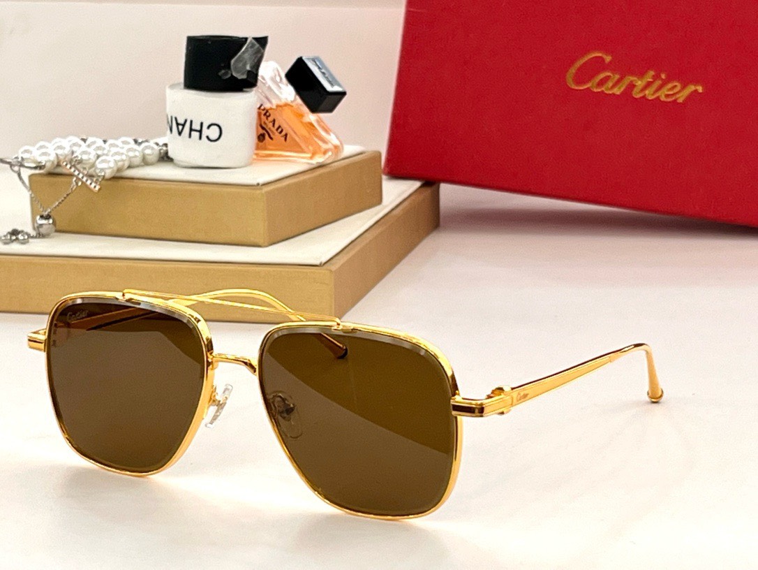 Bagsaaa Ca*t1er Sunglasses - 6 styles
