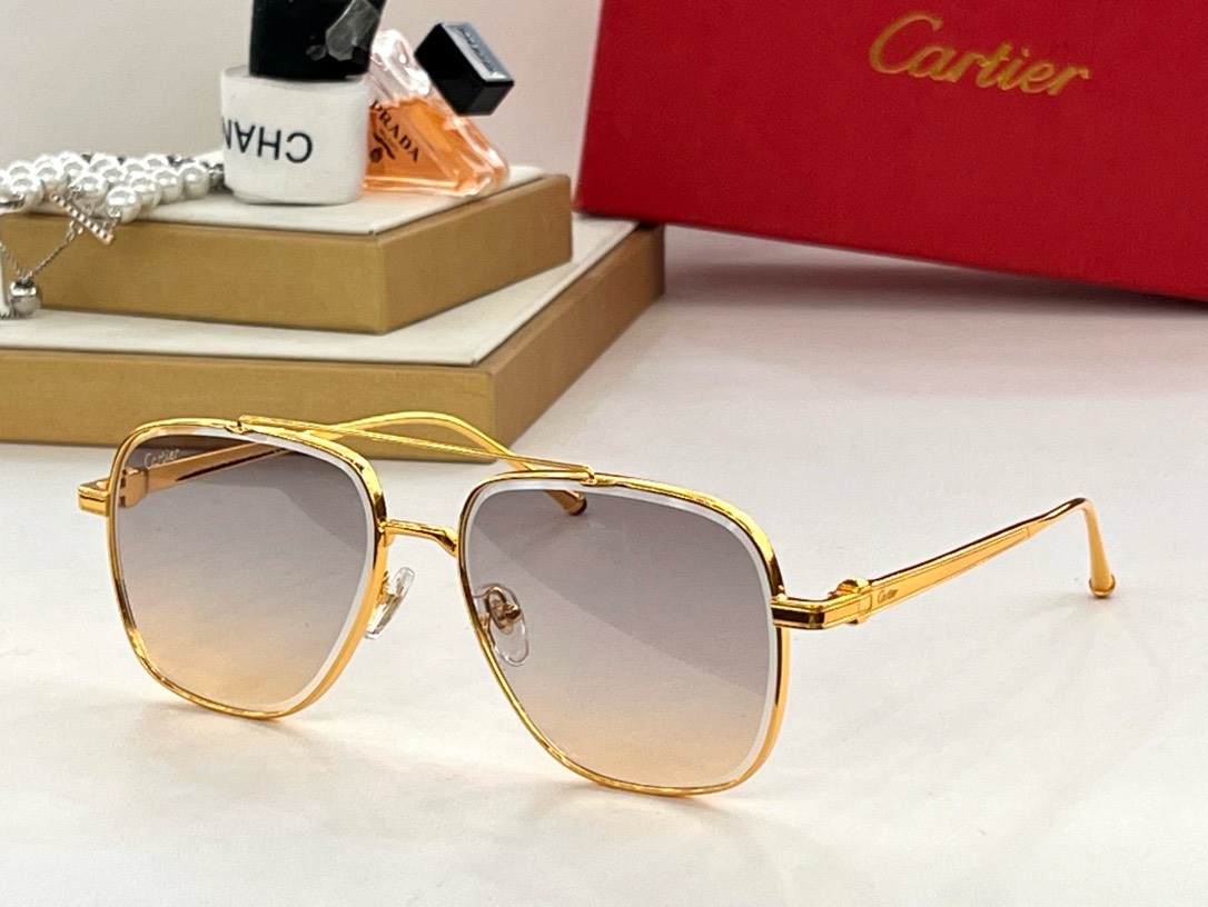 Bagsaaa Ca*t1er Sunglasses - 6 styles