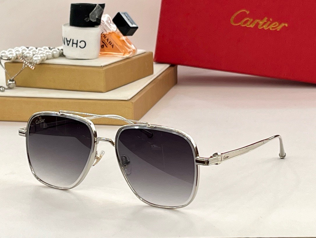 Bagsaaa Ca*t1er Sunglasses - 6 styles