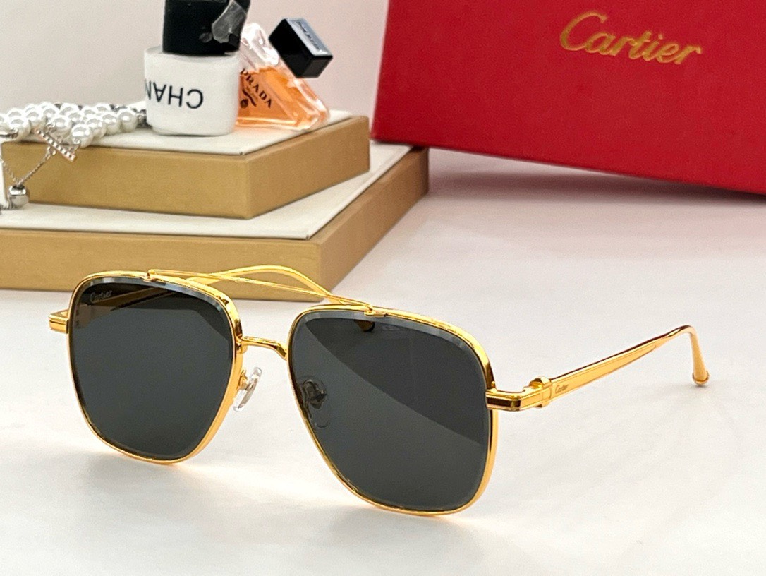 Bagsaaa Ca*t1er Sunglasses - 6 styles
