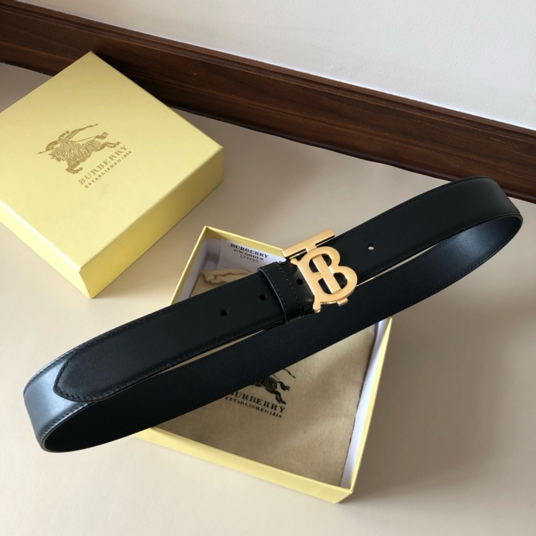Bagsaaa Bv*b*rry Black Belt In Gold