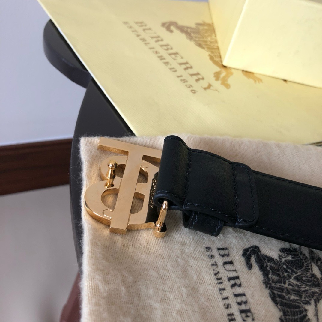 Bagsaaa Bv*b*rry Black Belt In Gold