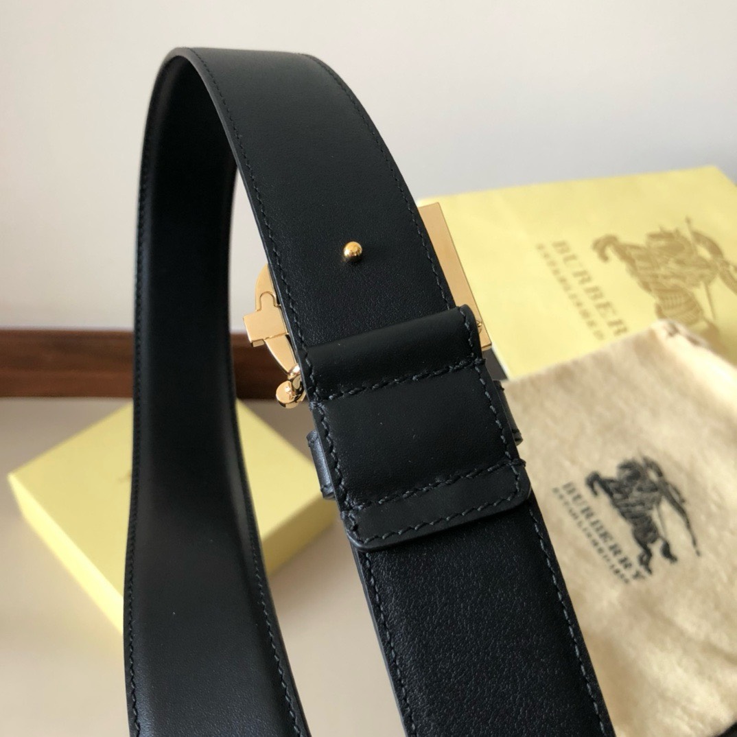 Bagsaaa Bv*b*rry Black Belt In Gold