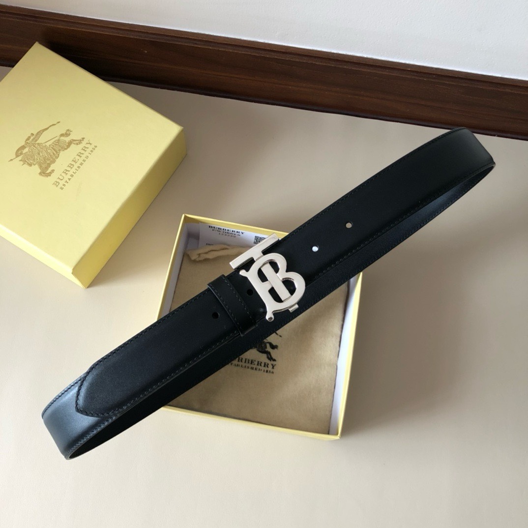 Bagsaaa Bv*b*rry Black Belt In Silver