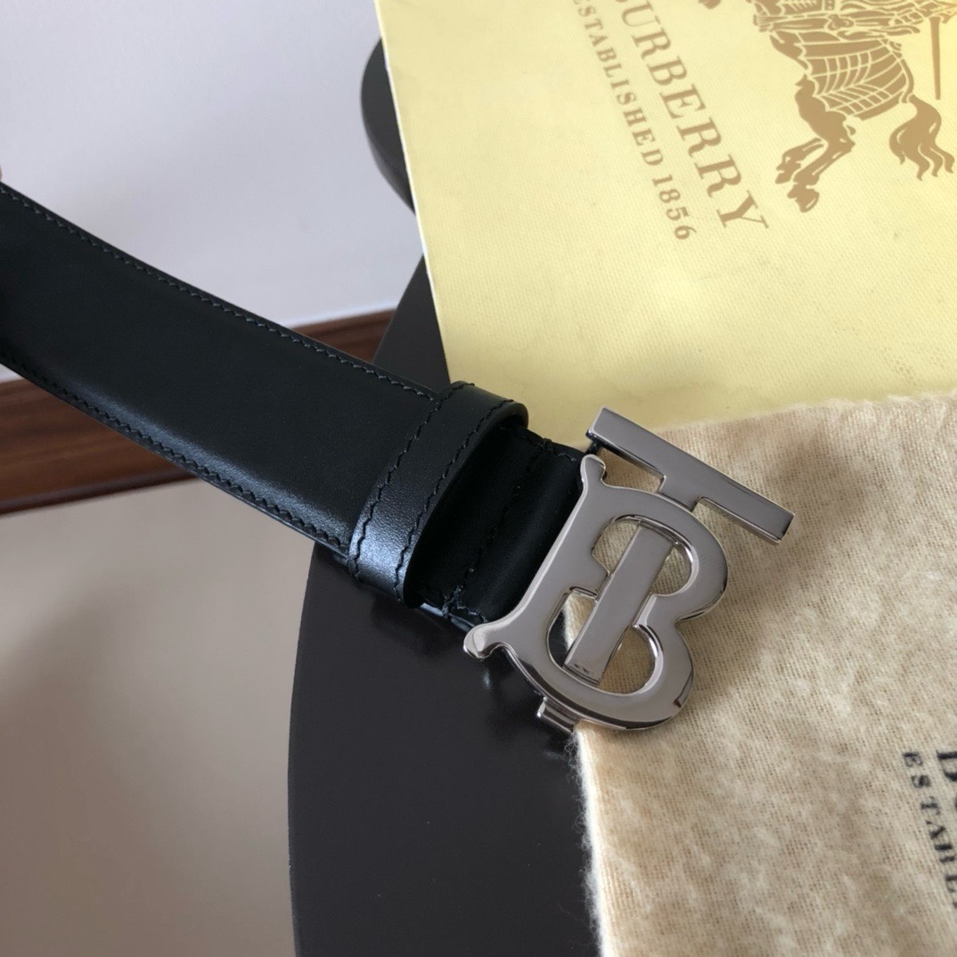 Bagsaaa Bv*b*rry Black Belt In Silver